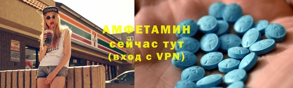 apvp Вяземский